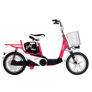 Bình ắc quy xe đạp điện Yamaha Icats H6 chính hãng