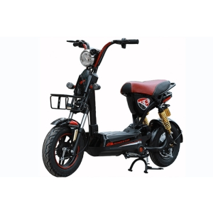 Bình ắc quy xe đạp điện Giant M133S Mini chính hãng
