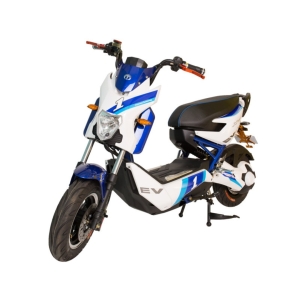 Bình ắc quy xe máy điện Terra Motors Xmen chính hãng