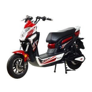 Bình ắc quy xe máy điện Zoomer Exciter Myoko chính hãng