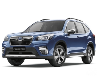 Bình ắc quy xe Subaru Forester