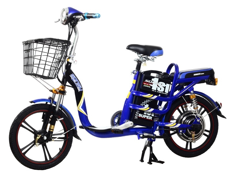 Bình ắc quy xe đạp điện Sonsu bike nhún sau chính hãng