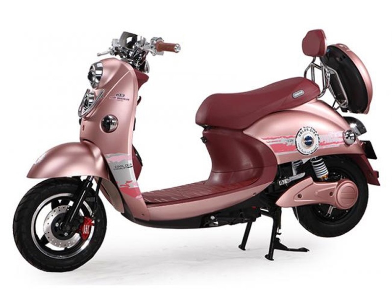 Bình ắc quy xe máy điện Dibao Vip Rider chính hãng