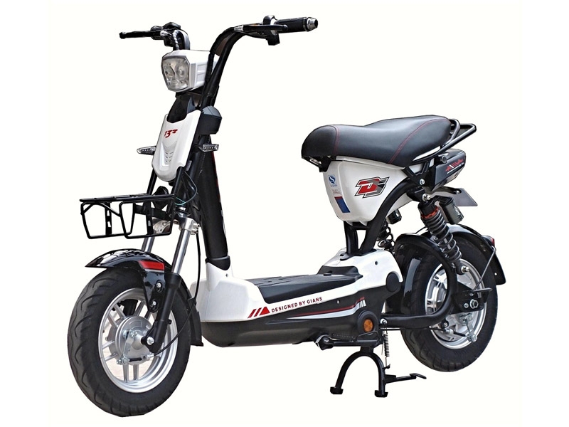 Bình ắc quy xe đạp điện Giant M133 Plus chính hãng