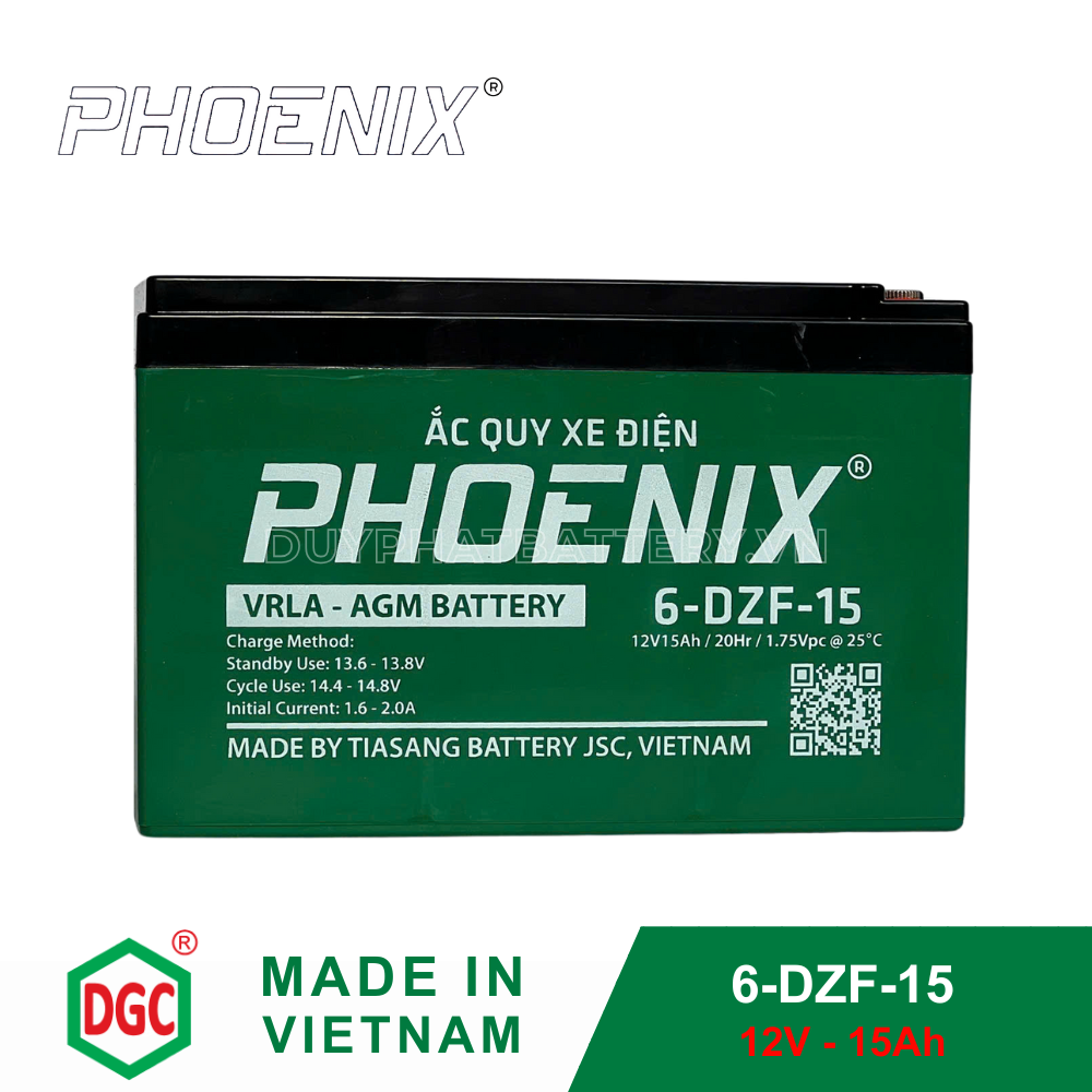 Bình ắc quy Phoenix 6-DZF-25 (12V-25Ah) dùng cho xe máy điện Giant M186