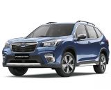 Bình ắc quy xe Subaru Forester
