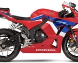 Sở hữu ngay bình ắc quy cho xe mô tô Honda phân khối lớn giá tốt tại Duy Phát